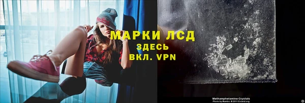 твердый Арсеньев