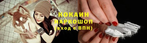 твердый Арсеньев