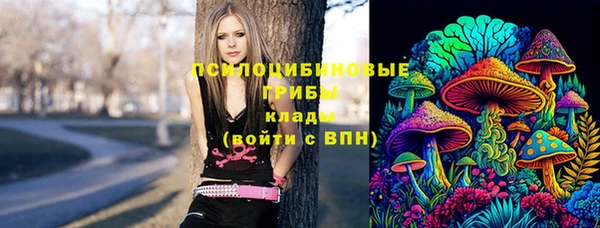 не бодяженный Армянск