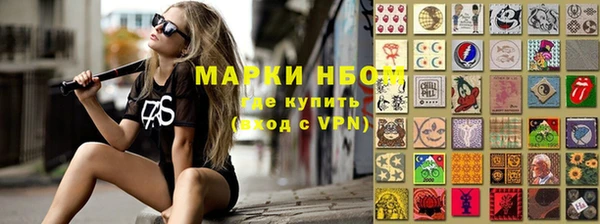 твердый Арсеньев
