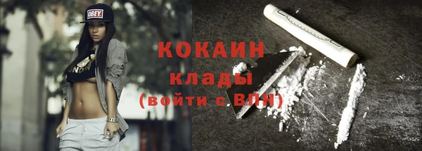твердый Арсеньев